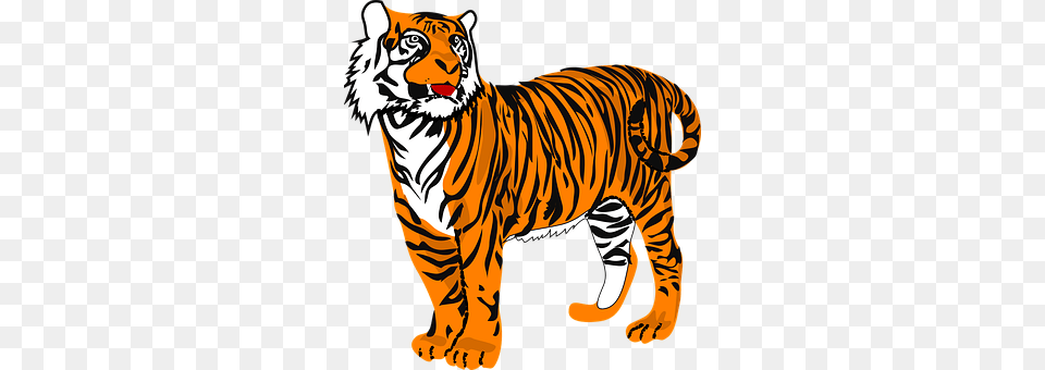 Tiger Animal, Mammal, Wildlife Free Png Download