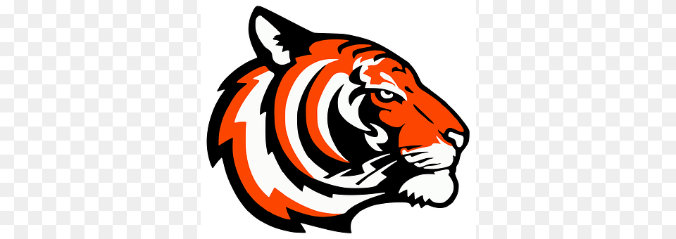 Tiger Stencil, Animal, Mammal, Wildlife Free Transparent Png