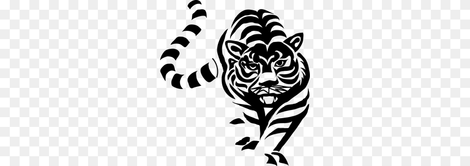 Tiger Gray Png