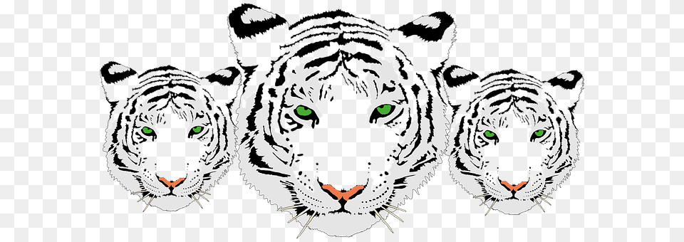 Tiger Stencil, Face, Head, Person Free Transparent Png