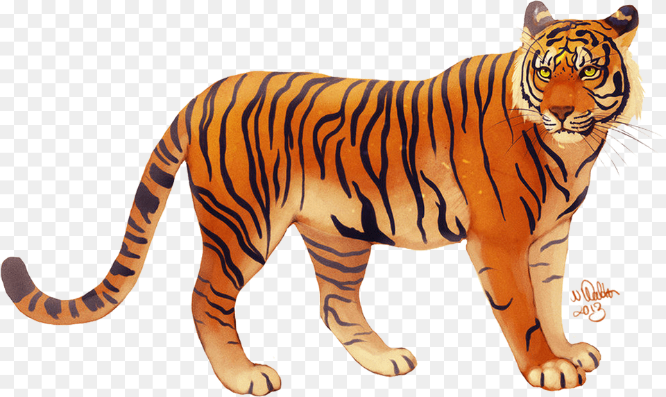 Tiger Free Png Download