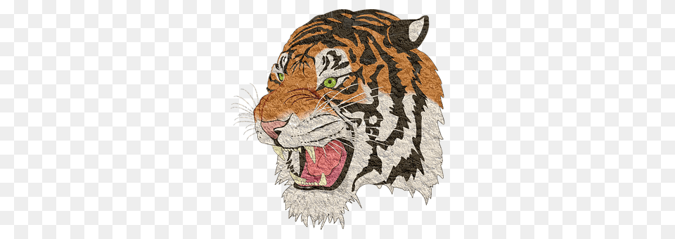 Tiger Animal, Mammal, Wildlife Png