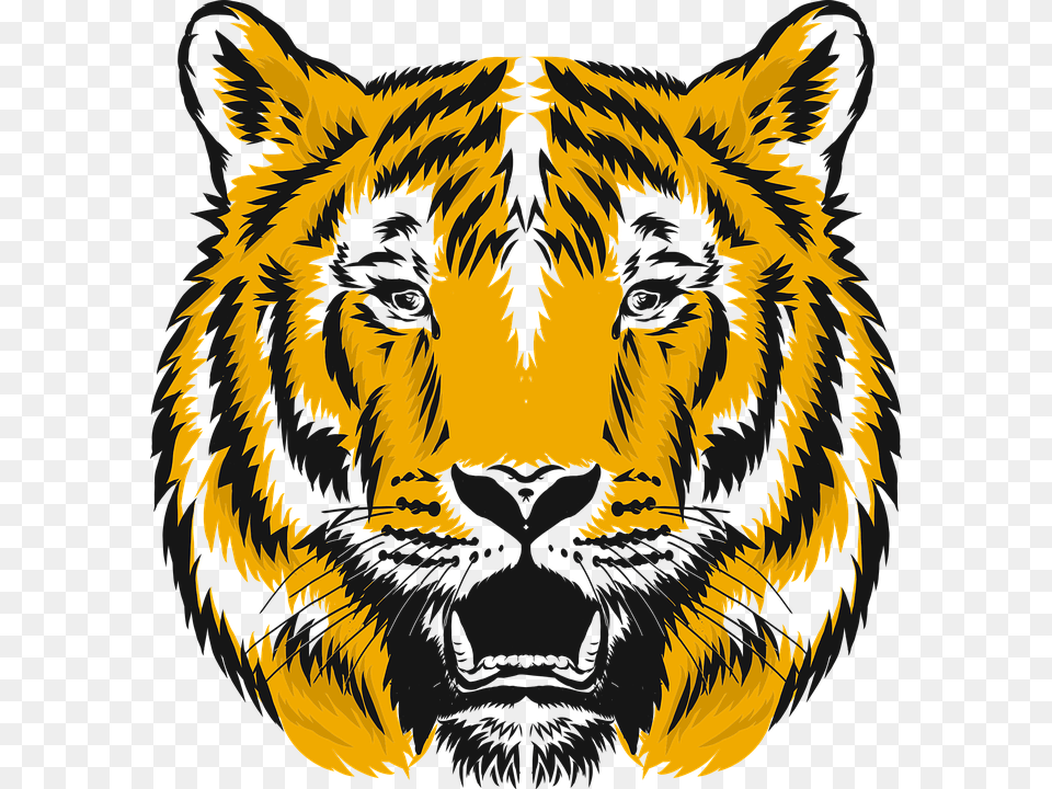 Tiger, Animal, Mammal, Wildlife, Lion Free Transparent Png