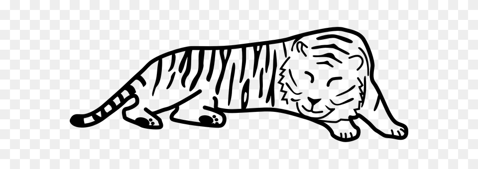 Tiger Gray Free Png Download