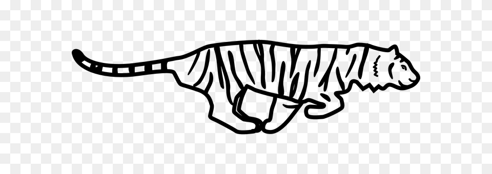 Tiger Gray Png