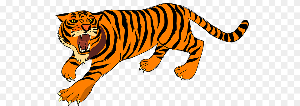 Tiger Animal, Mammal, Wildlife Free Png