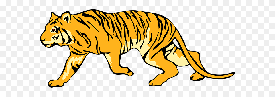 Tiger Animal, Mammal, Wildlife, Zebra Free Png