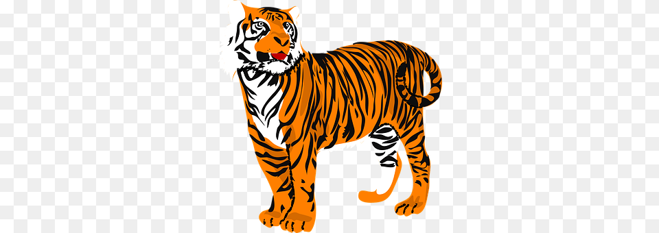 Tiger Animal, Mammal, Wildlife Free Transparent Png