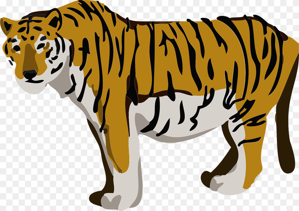 Tiger Animal Clipart, Mammal, Wildlife Png