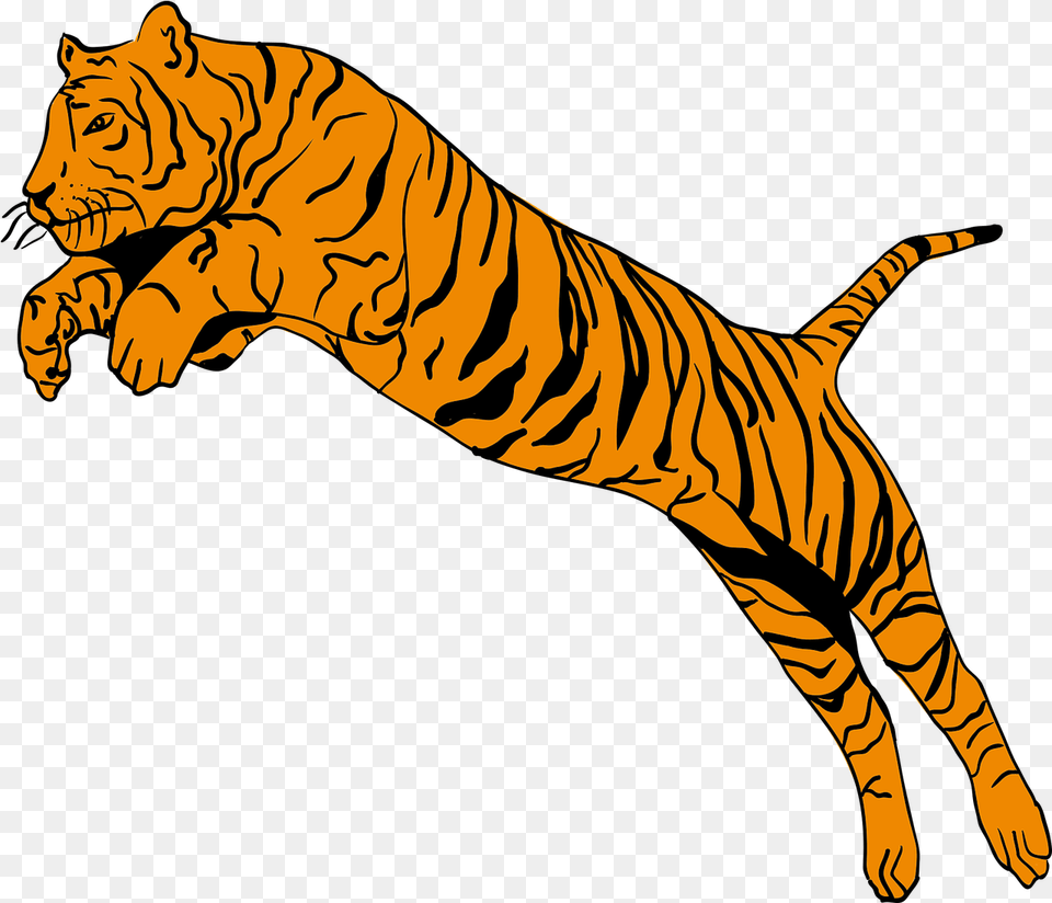 Tiger Animal Jump Vector Graphic On Pixabay Tiger Jump Clipart, Mammal, Wildlife Free Png Download