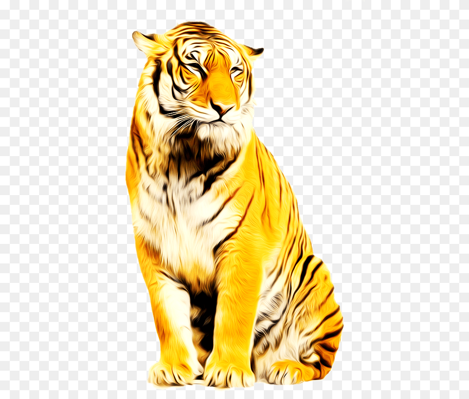 Tiger Animation Photoscape Tiger Download Background Tiger, Animal, Mammal, Wildlife Free Transparent Png