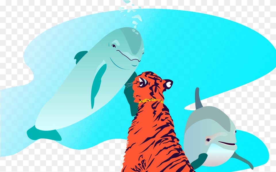 Tiger Art Dolphins Big Cat Tiger Gradient Design Vector, Mammal, Animal, Wildlife, Sea Life Free Png