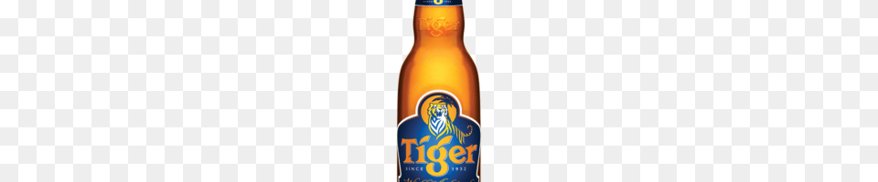 Tiger Beer Bottle Image, Alcohol, Beer Bottle, Beverage, Lager Png