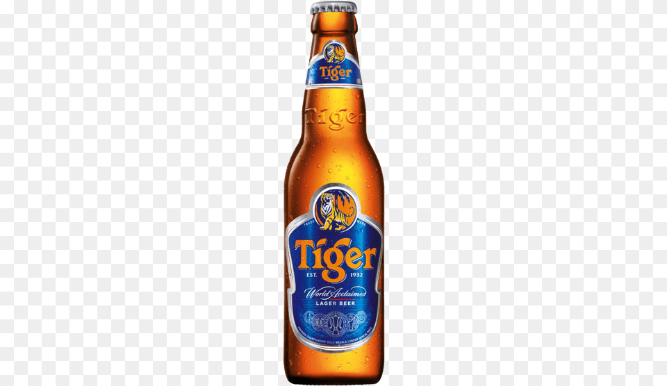 Tiger Beer Bottle Tiger Beer, Alcohol, Beer Bottle, Beverage, Lager Png