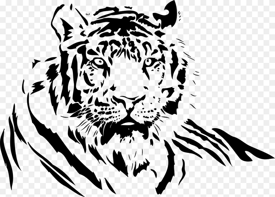 Tiger Black And White, Lighting, Nature, Night, Outdoors Png