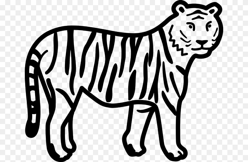 Tiger Black And White Tiger Face Clip Art Black And White Free, Gray Png