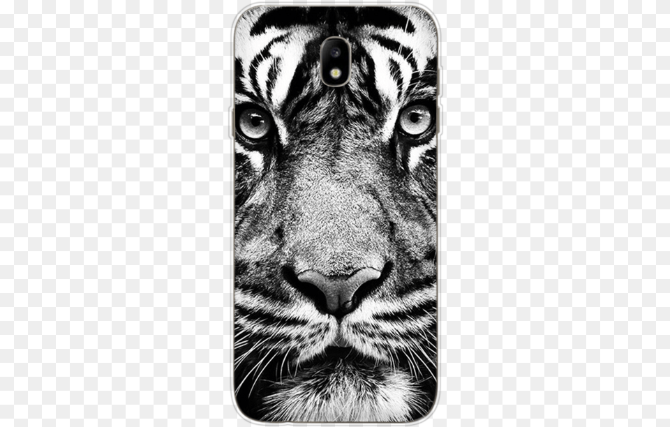 Tiger Black Wallpaper 4k Phone, Animal, Wildlife, Mammal, Cat Free Png