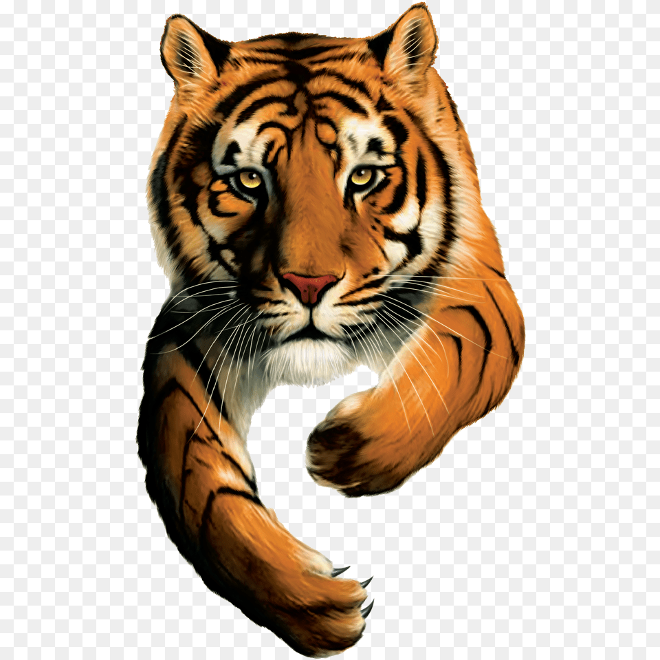 Tiger Brands Logo Tiger Brands Ltd Logo, Animal, Mammal, Wildlife Free Png