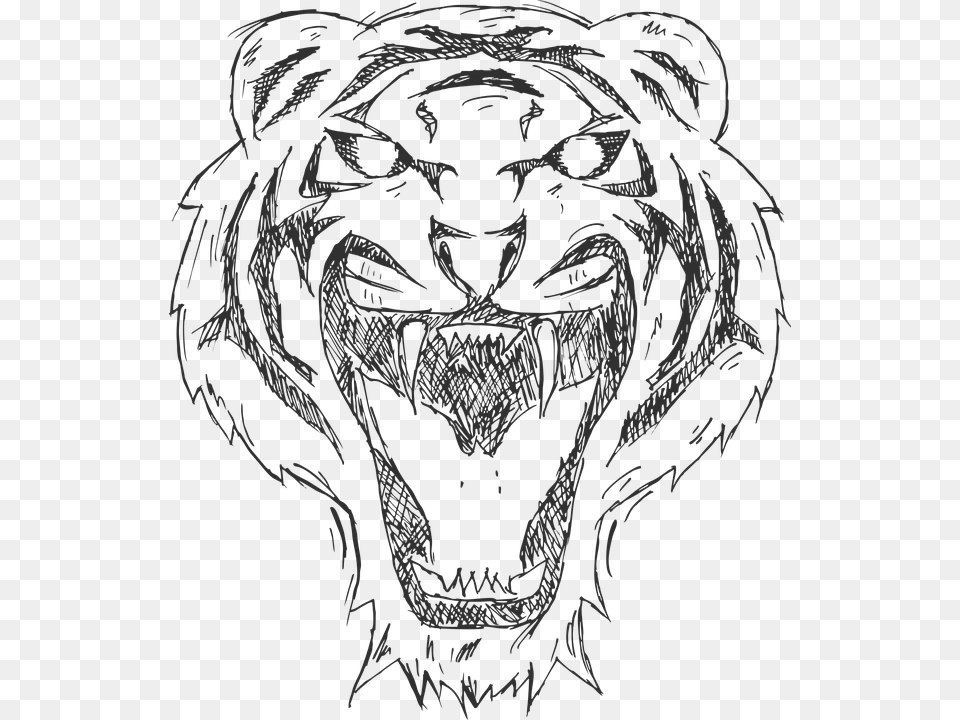Tiger Cartoon Animal Illustration Black White White Tiger Arts, Stencil, Person, Art, Face Free Transparent Png