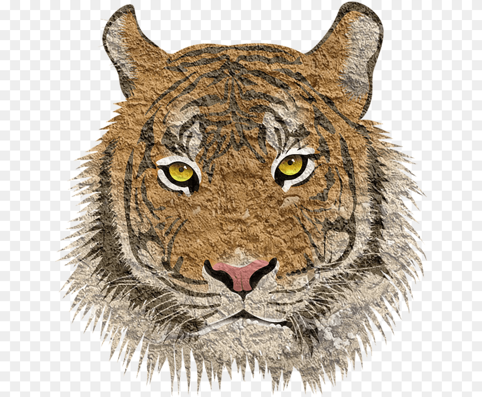 Tiger Cat Animal On Pixabay, Bird, Wildlife, Mammal, Reptile Png Image