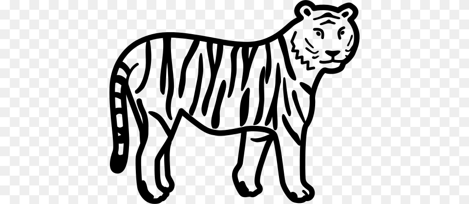 Tiger Clip Art, Gray Png