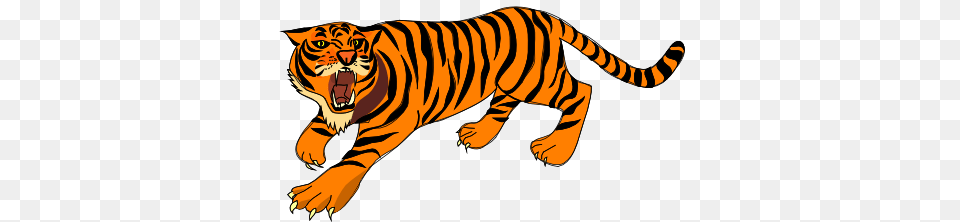 Tiger Clip Art, Animal, Mammal, Wildlife Png