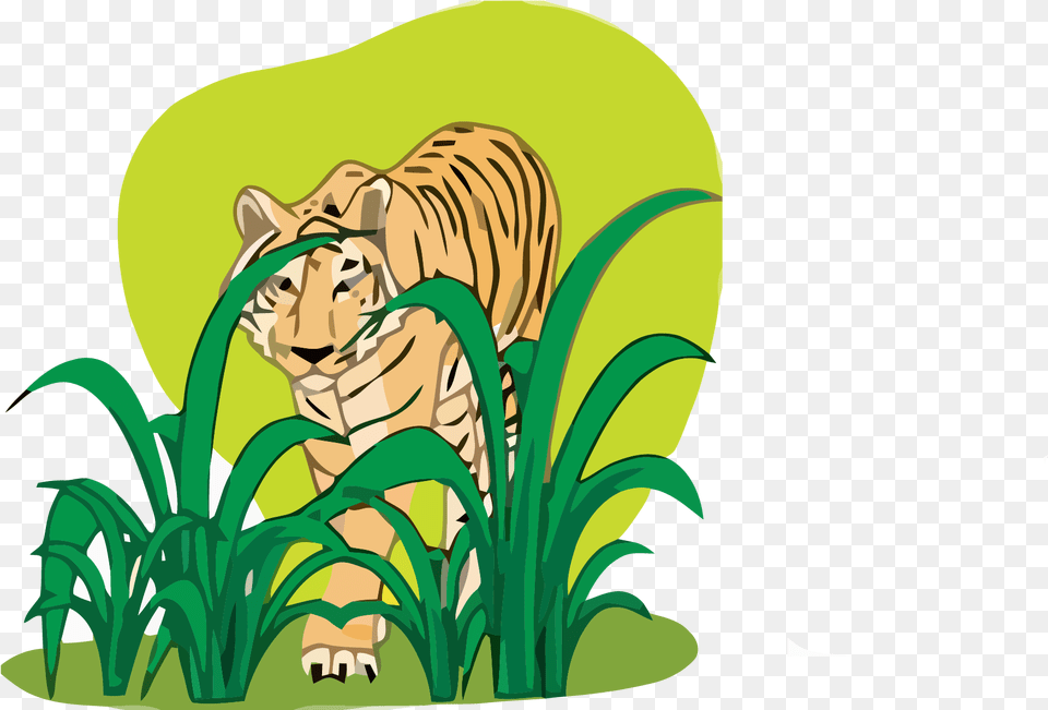 Tiger Clipart 06 Plants And Animals, Animal, Zoo, Wildlife, Mammal Png
