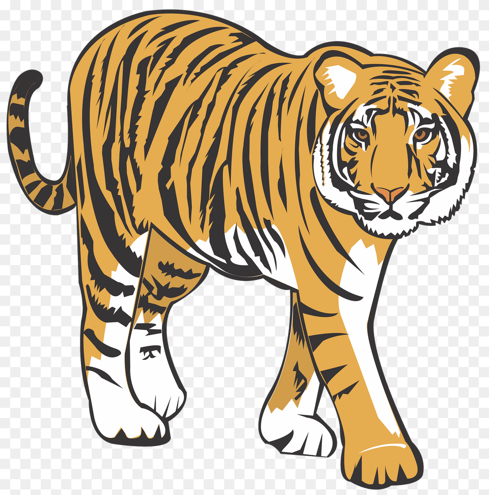 Tiger Clipart, Animal, Mammal, Wildlife Free Png Download