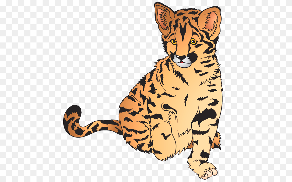 Tiger Clipart, Animal, Cheetah, Mammal, Wildlife Png Image