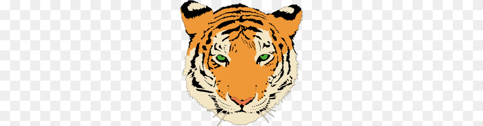 Tiger Clipart, Animal, Mammal, Person, Wildlife Png