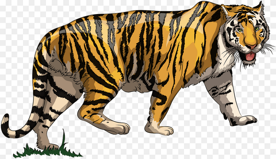 Tiger Clipart, Animal, Mammal, Wildlife Png Image