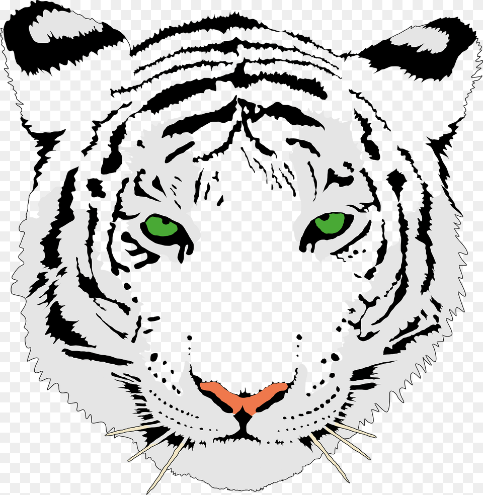 Tiger Clipart, Person, Animal, Mammal, Wildlife Free Png Download