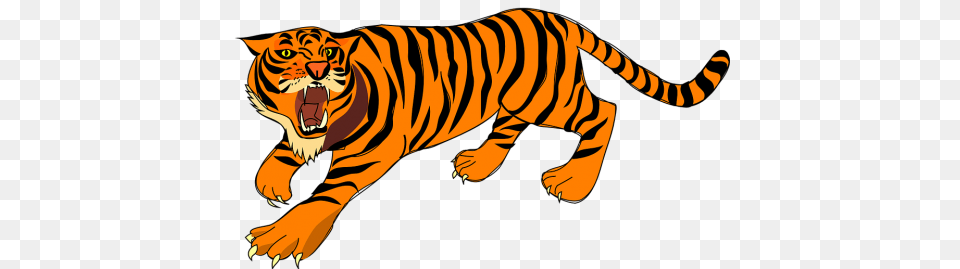 Tiger Clipart, Animal, Mammal, Wildlife Png