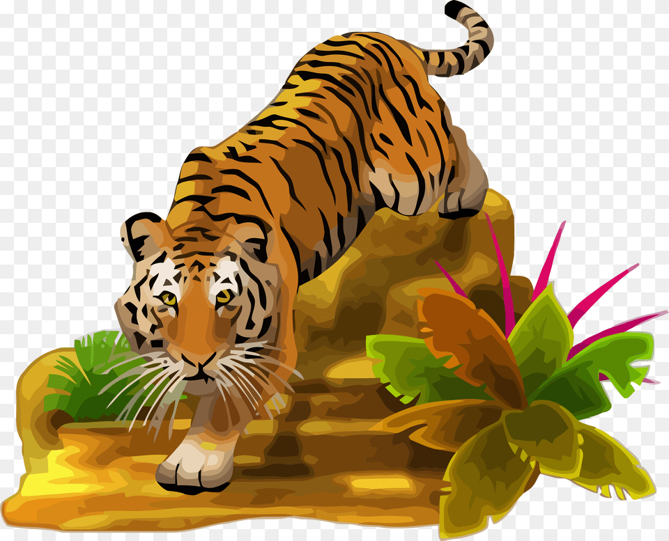 Tiger Clipart, Animal, Mammal, Wildlife Free Transparent Png