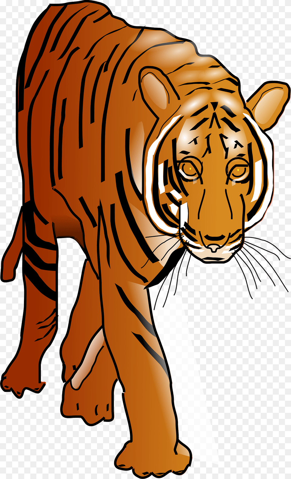 Tiger Clipart, Person, Animal, Face, Head Png