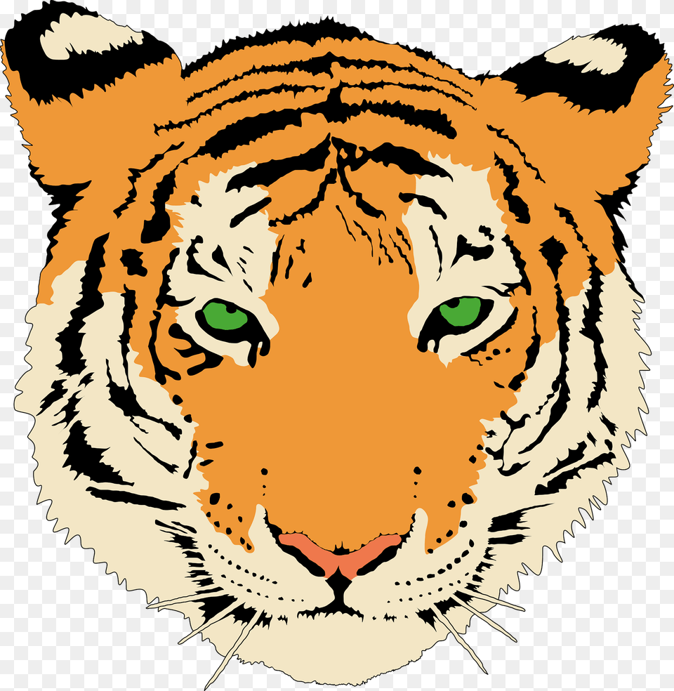 Tiger Clipart, Baby, Person, Animal, Mammal Free Transparent Png
