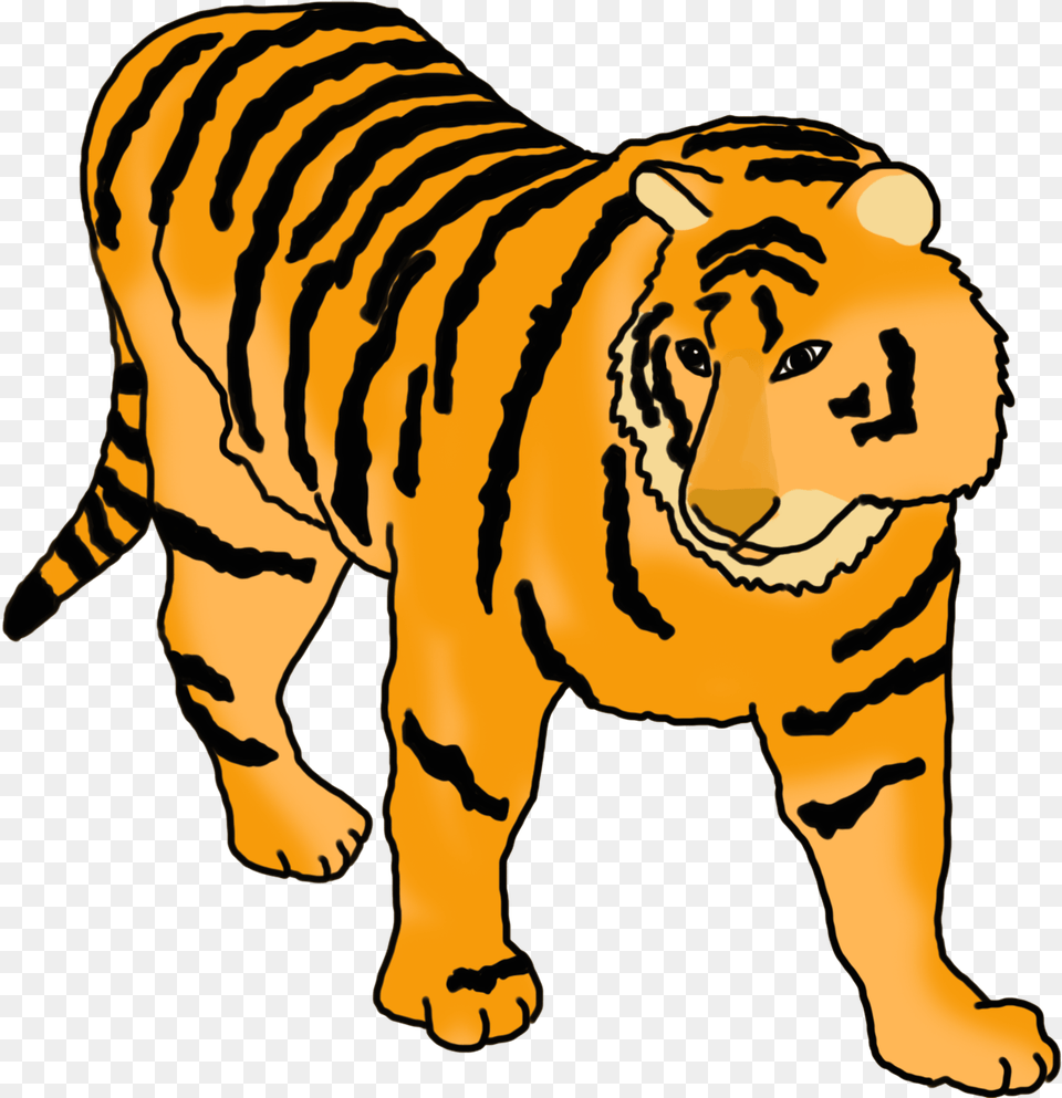 Tiger Clipart Bengal Tiger, Baby, Person, Animal, Mammal Png Image