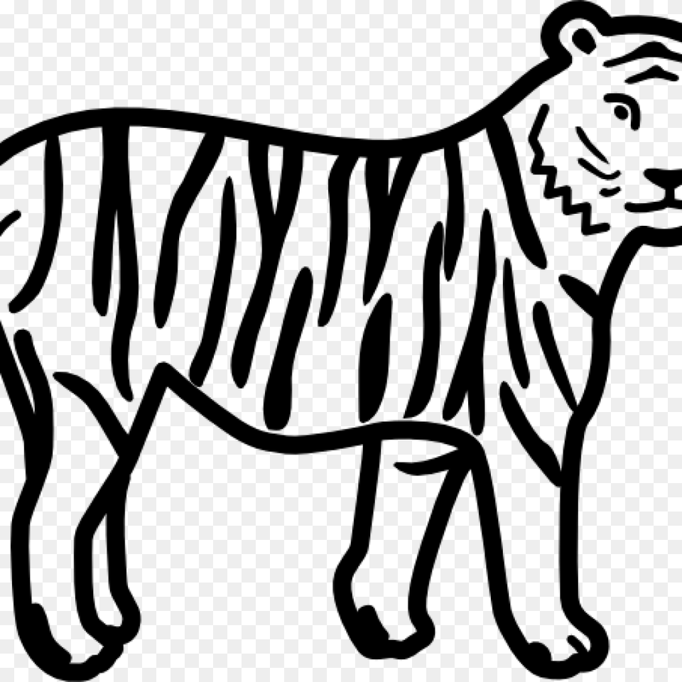 Tiger Clipart Black And White Fish Clipart House Clipart Online, Gray Free Png