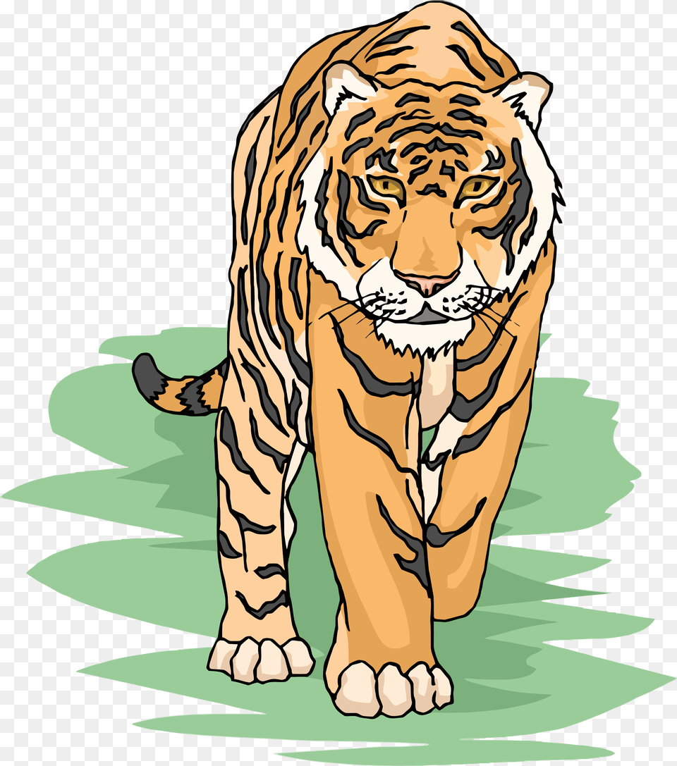 Tiger Clipart Cliparts And Others Art Inspiration, Animal, Mammal, Wildlife Free Png