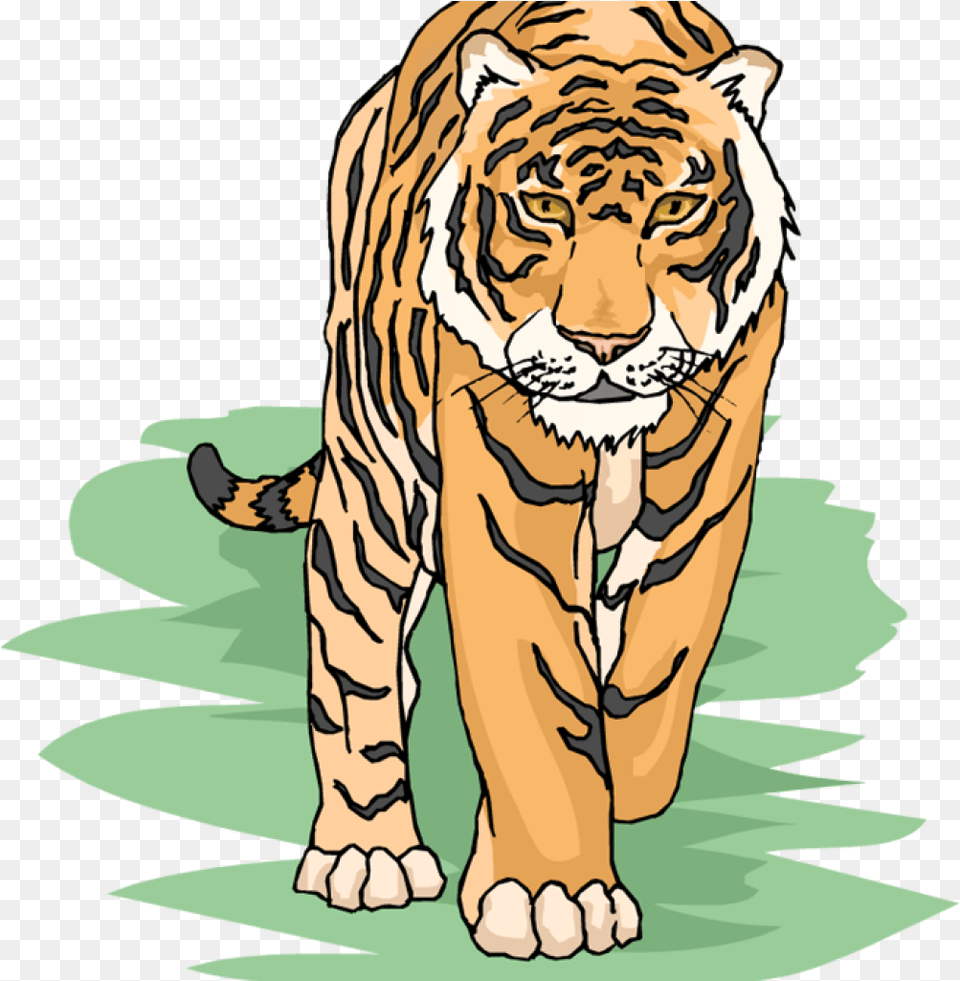 Tiger Clipart Cool Tiger Clipart, Animal, Mammal, Wildlife Free Png