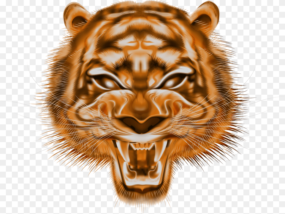Tiger Clipart High Resolution Siberian Tiger Free Png