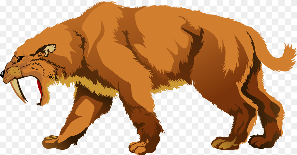 Tiger Clipart Real Saber Toothed Cat Clipart, Animal, Mammal, Lion, Wildlife Png