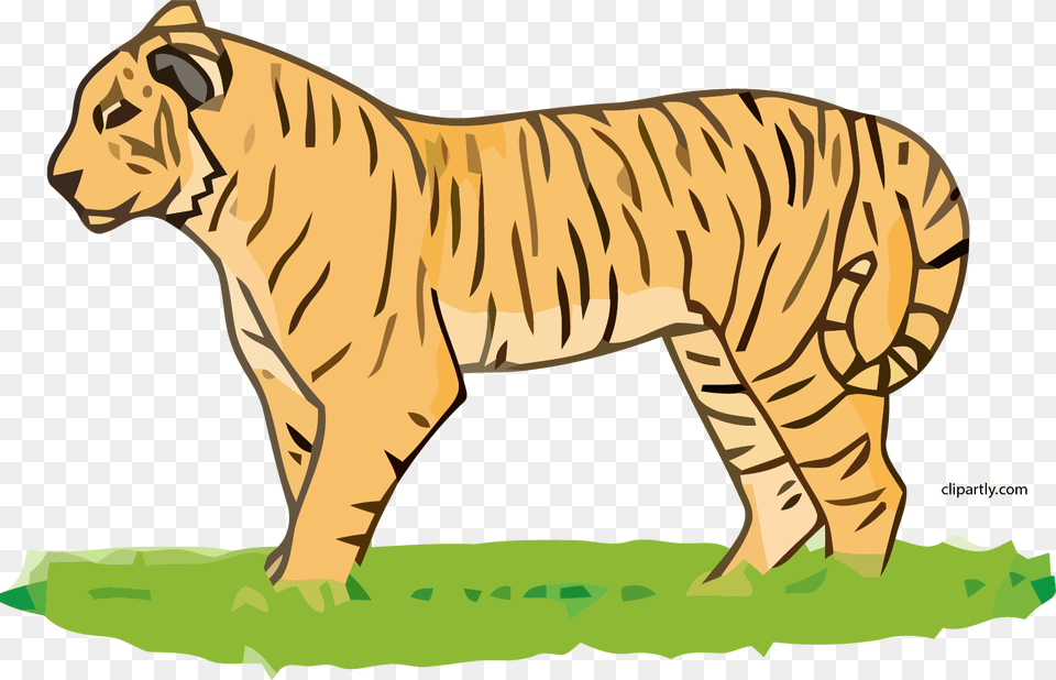 Tiger Clipart Tigerclipart, Animal, Wildlife, Mammal Png