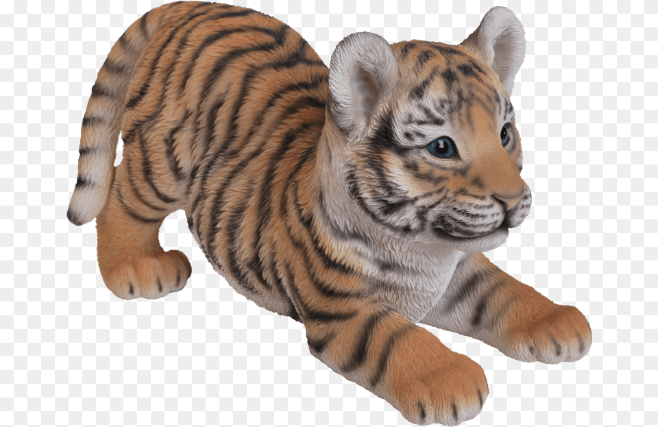Tiger Cub Real Baby Tiger, Animal, Mammal, Wildlife Free Transparent Png