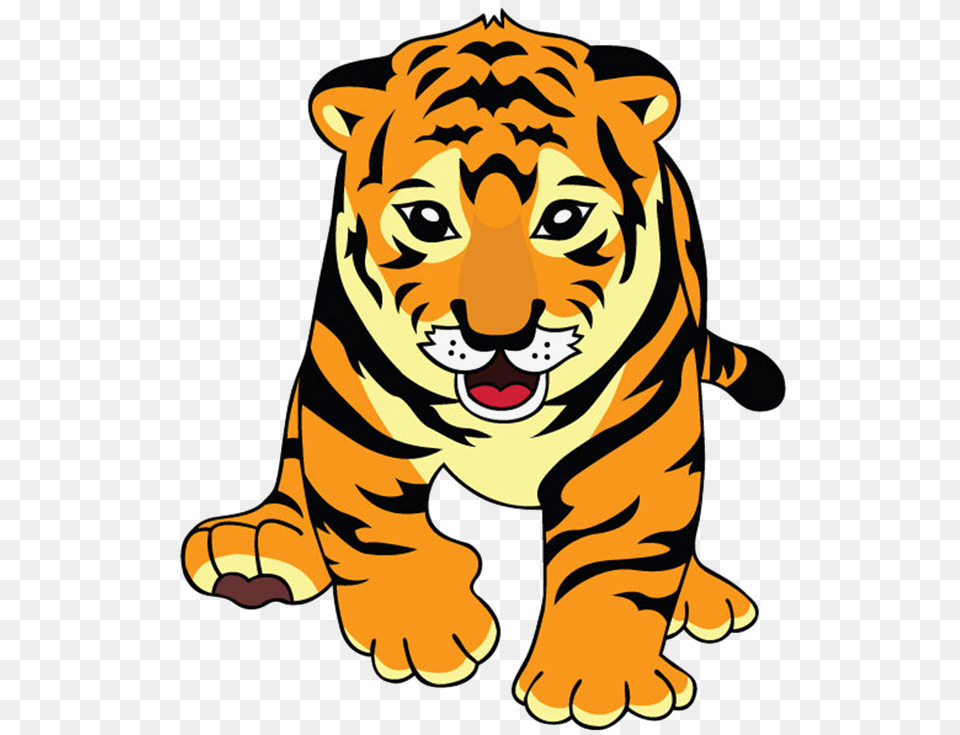Tiger Cute Cartoon Picture Material Clipart Feminine Gender Of Tiger, Baby, Person, Face, Head Png