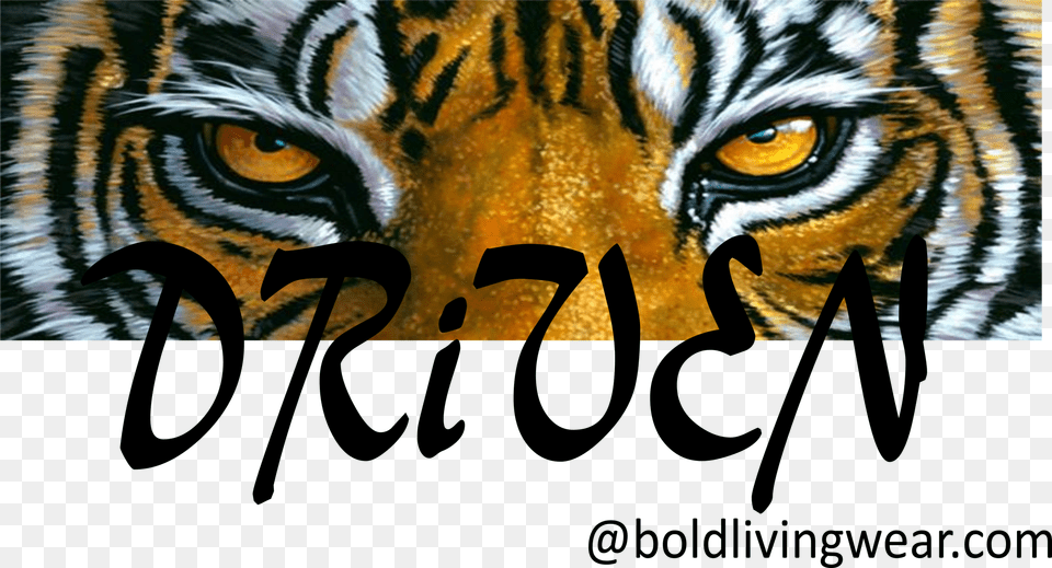 Tiger Eyes Png Image