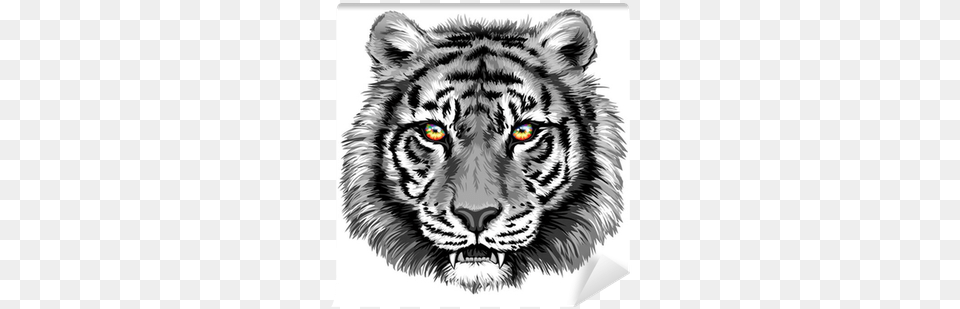 Tiger Eyes Tiger, Animal, Mammal, Wildlife, Art Free Png Download