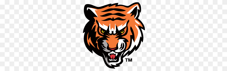 Tiger Face, Baby, Person Png