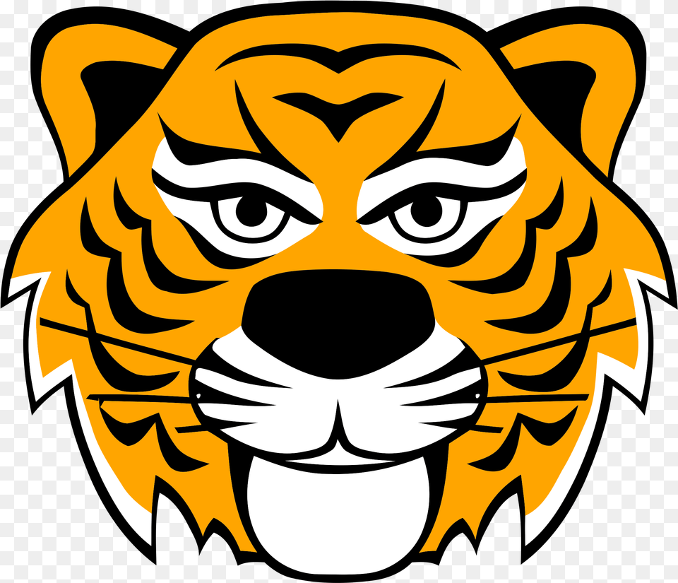 Tiger Face Cartoon, Baby, Person Free Png Download