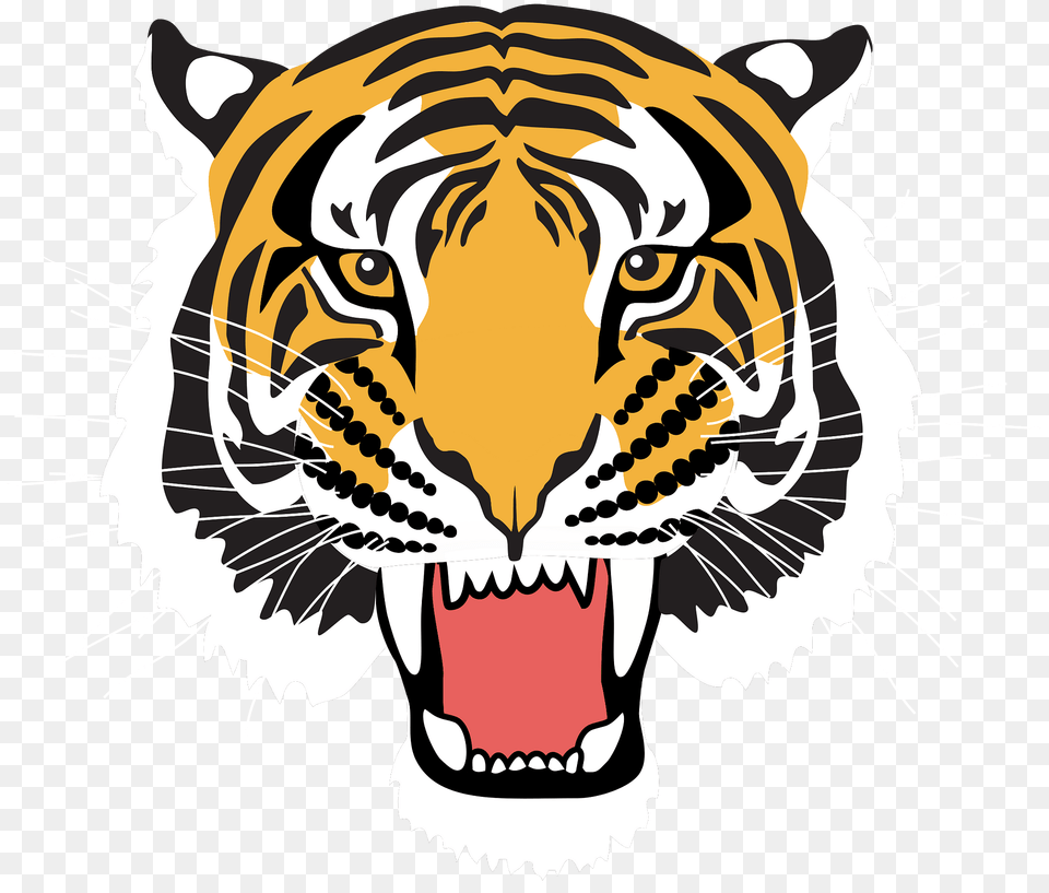 Tiger Face Clipart, Animal, Mammal, Wildlife, Baby Free Transparent Png